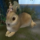 Thumb 4f8d0ffb97f7b765c5000001