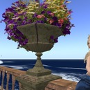 Thumb 521279a97c491645df000001