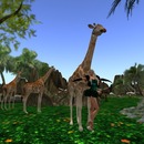 Thumb 51bfde2f54b006464c000001