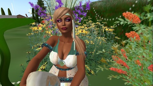 Web 514a674d51e2311f4a000001