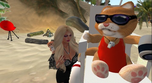 Web 51bff5073d083e02ef000001