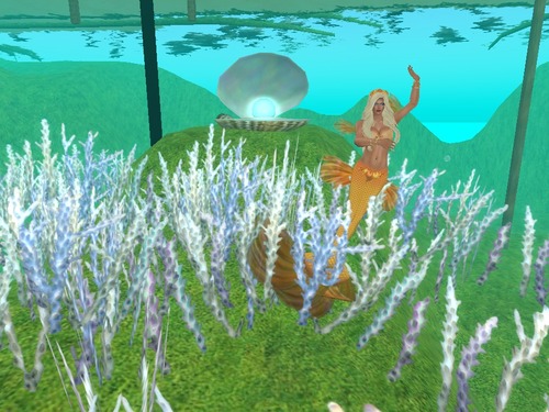 Web 55c0905d8da5723c79000001