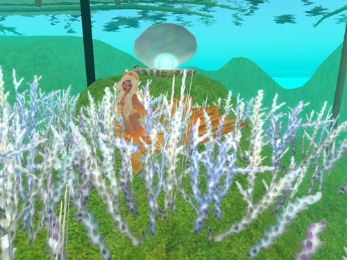 Web 55c0909ca73e214efb000001