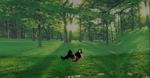 Web 5670a8753f942f277b000001