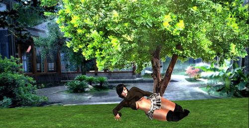 Web 5a63413bd774f8512d000001