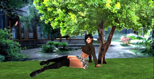 Web 5a63421073ed175177000001