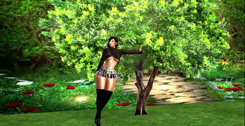 Web 5a63450cd9859c5131000001