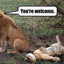 Thumb 5fa596b05448bf2b36079959