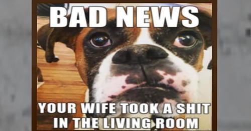 Web 6061de041ac6f764d8fe48dc