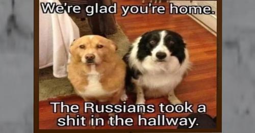 Web 6227a04598366d563e423edf