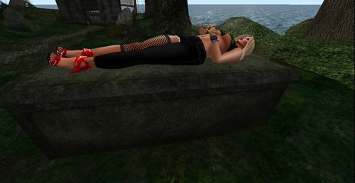 Web 51570e9d33043c0439000001