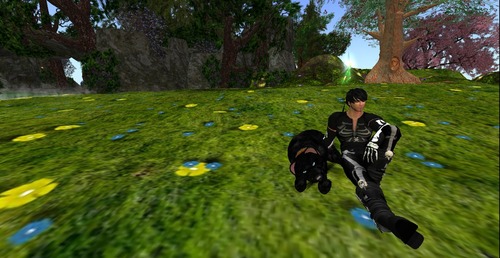 Web 51723bec3f111a4f67000001