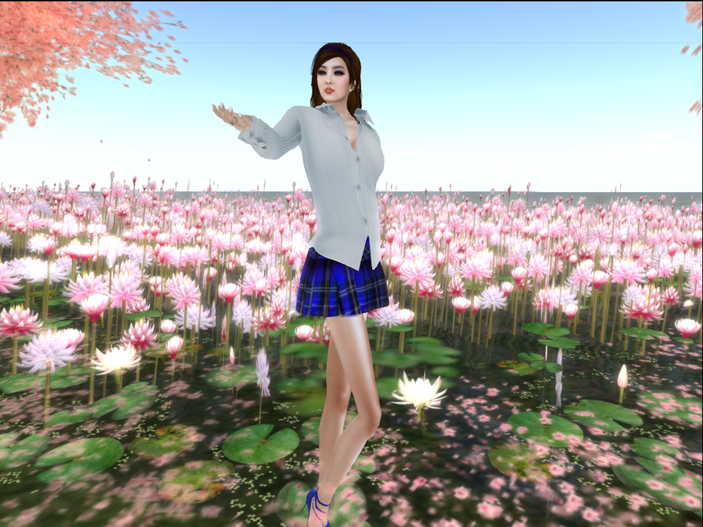 Original 507ada262ea0be253c000001