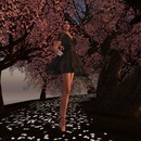 Thumb 4f3dc840575c855c6d000001