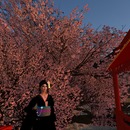 Thumb 4f3e5c9838a0e84608000001