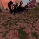 Thumb 4f3e5fdfa860da5be6000001