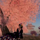 Thumb 4f3e60ab38a0e84e6e000001