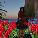 Thumb 4f47e1131a88567399000001