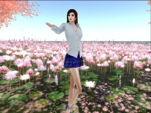 Web 507ada262ea0be253c000001