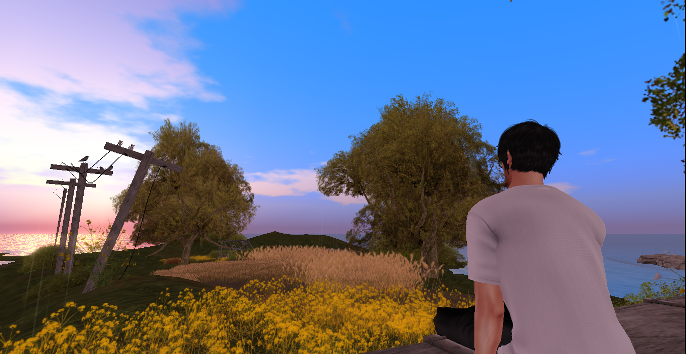 Original 53bd50db8da5723f2e000001