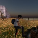 Thumb 51c46e3b3666773b7d000001