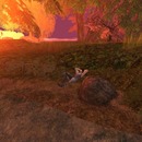 Thumb 52462ae6e7f9f63af0000001