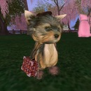 Thumb 533af5c9a73e212c07000001