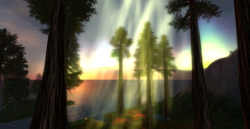 Web 51e5a7f741cdd4059a000001