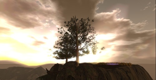 Web 51e5a9d441cdd40df6000001