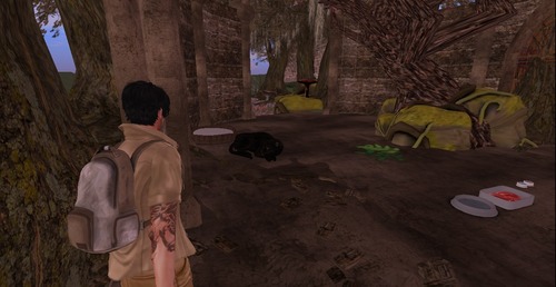 Web 524ea02d35d6623671000001