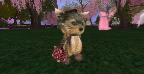 Web 533af5c9a73e212c07000001