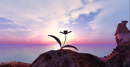 Web 53528dfe8da5721027000001