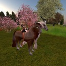 Thumb 50c87f7ecccb1c529a000001