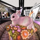 Thumb 50cad5df132c020a4a000001