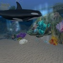 Thumb 50d09838960c9b23e8000001