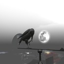 Thumb 514b163551e231436c000001