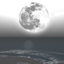 Thumb 514b174b87cdf10a1e000001