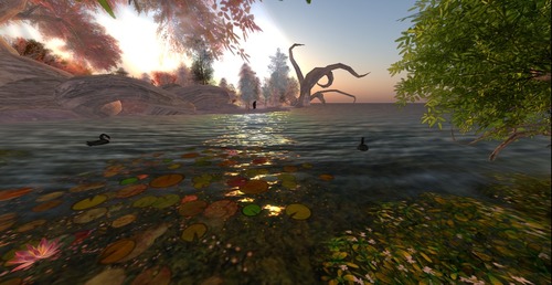 Web 50caa252dadbea47c0000001