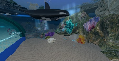 Web 50d09838960c9b23e8000001