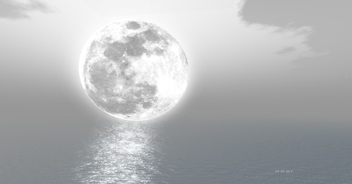 Web 514b116c531b521f02000001