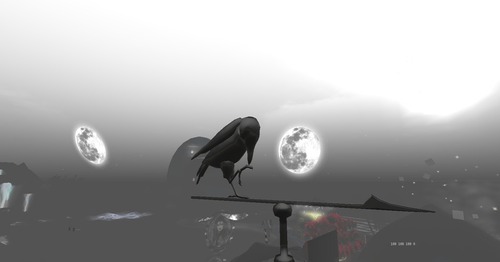 Web 514b163551e231436c000001