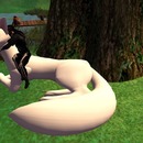 Thumb 51191bab4f97613aa5000001