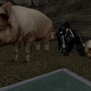 Thumb 5127fa368f81e75e42000001