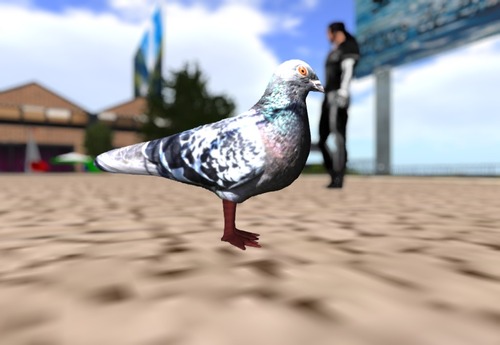 Web 5120fc9b54804e6ab2000001