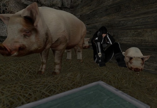 Web 5127fa368f81e75e42000001