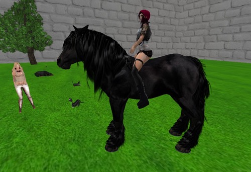 Web 51de4ac5fc9a2c6ac7000001