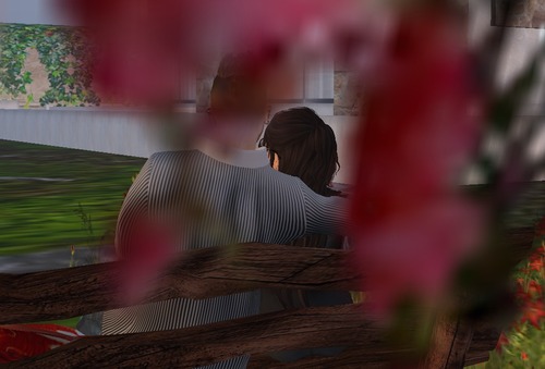 Web 518177280e323f3e59000001