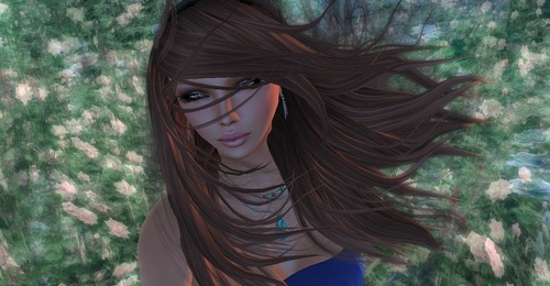 Web 519178fdadf13f24d8000001