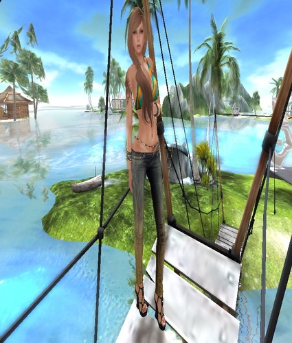 Web 52ed4453f8a1ec3a43000001