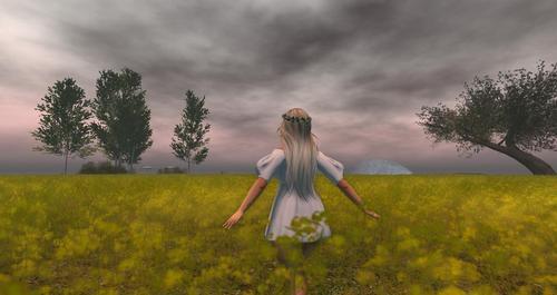 Web 5eaae55d289dd22ecea116f6